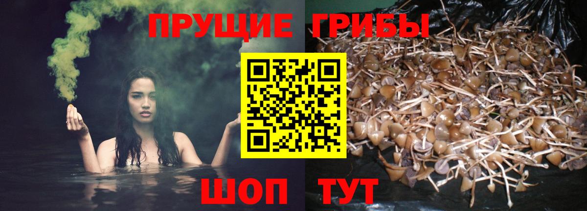 Галлюциногенные грибы мухоморы  Вход с VPN  Гудермес 